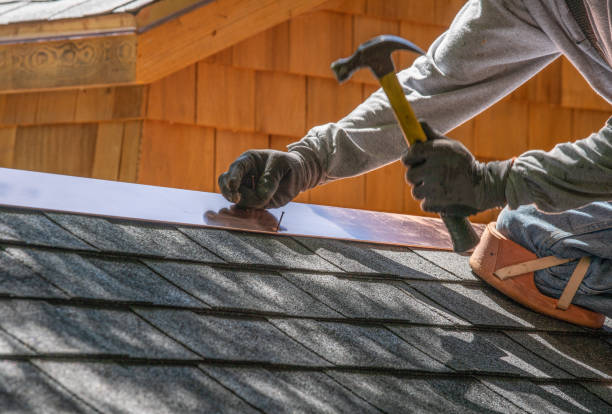 Best Sheet Metal Roofing  in Lapwai, ID